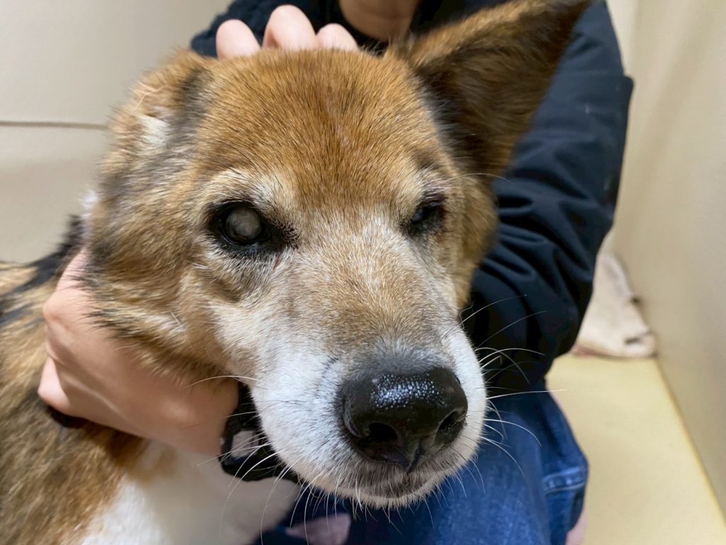 4b7148a700dde219b688ede98e2845e0