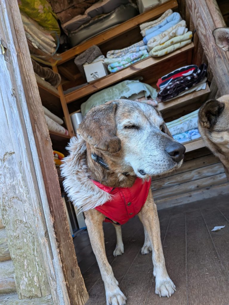 563e9484c4cc452b3980ce2c78cef36e