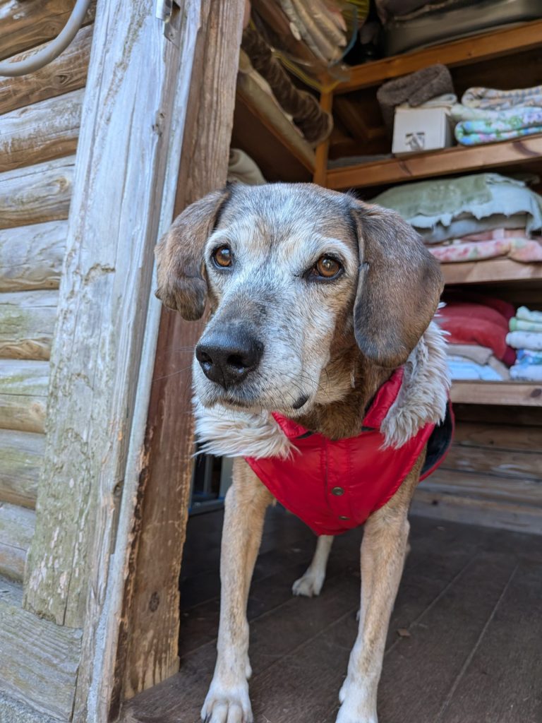 7d9175e6ae5ccf4b1610092911444e47