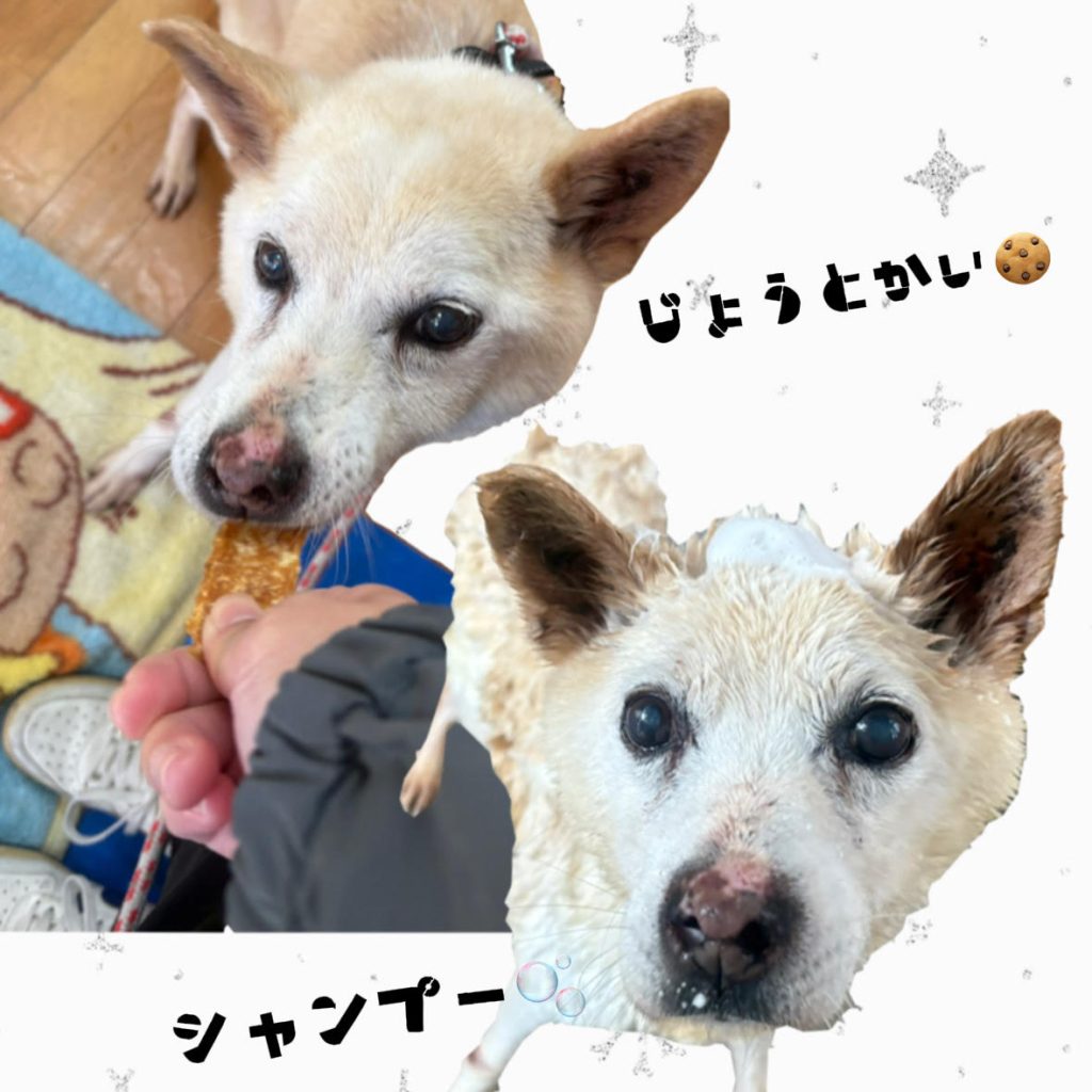 4f0a623bdd41b7fa906e06d3dec9ce58