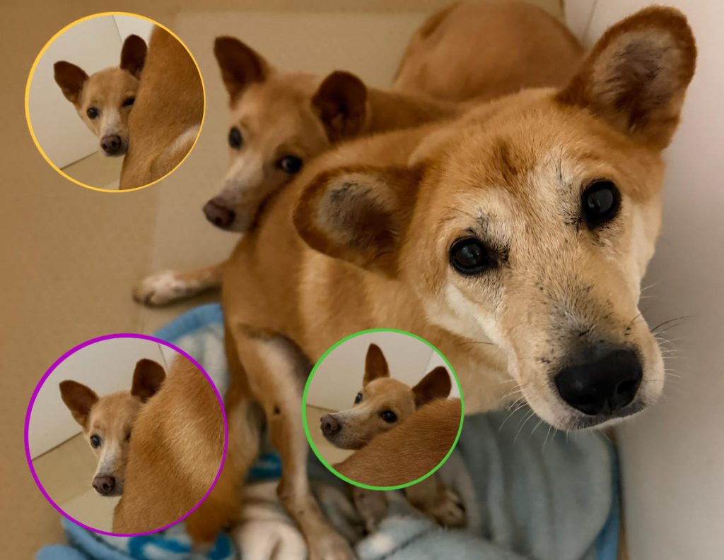 e87f1086f7bf9f59f1ec0b2dd2f320a4