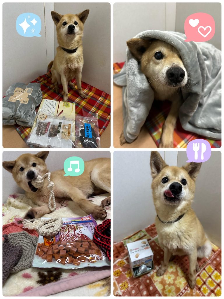 2e32f8532941dc505ac49cad8f73214e