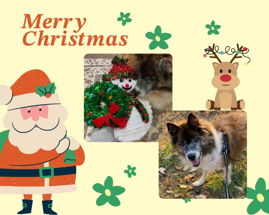 9dc934e9d73fad756ad230877882ac18