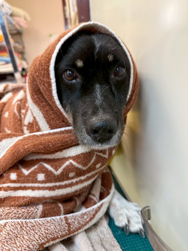 5bed7e27c36fcf6e7b8f9f153663b57d