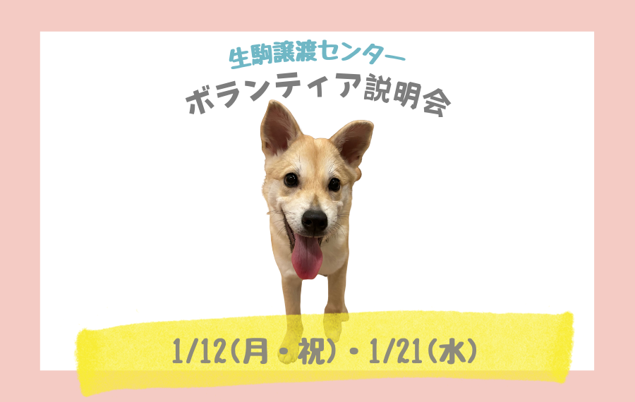 df3d91b3880f909368532810003d19fc