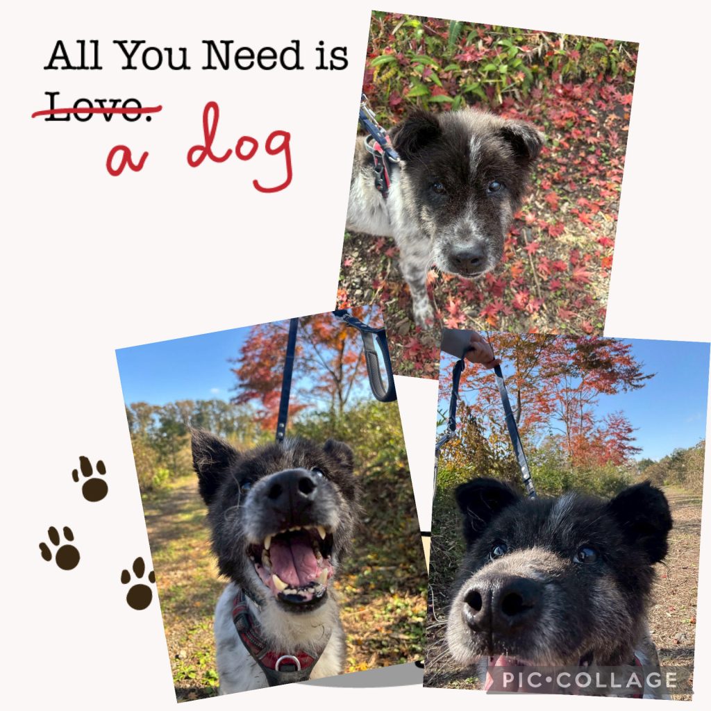 ee12c07e9992fe621891a61ae2a3c0d7