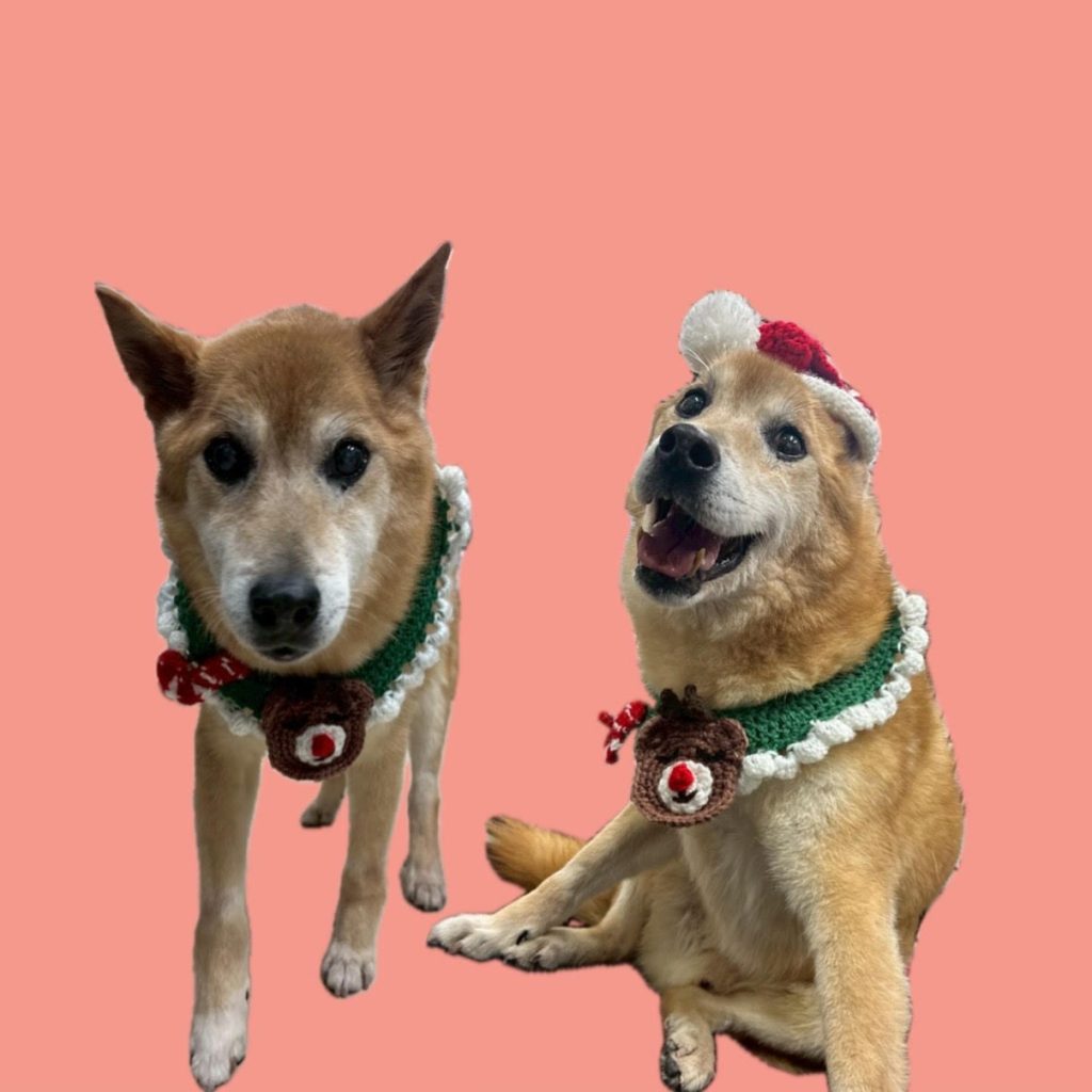 597737f9af87d0b1b6bf49fa60429ea8