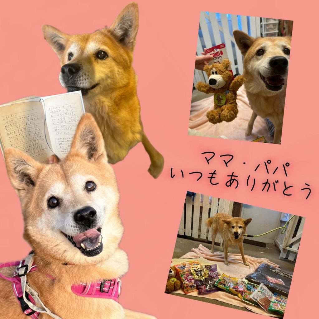 0108a4843bf73abec21fcb286710420a