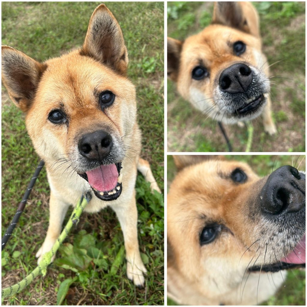 08953ae28ce8de060c1e9d906ce28184