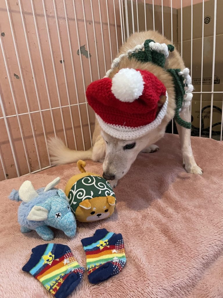 f819d6428bc3e0b807315df1c9edf6b2