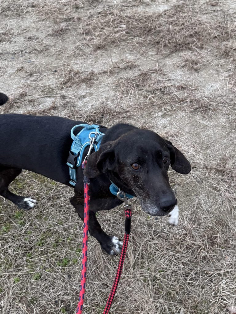 b9fa6990791885d41075a5ff334a53a6