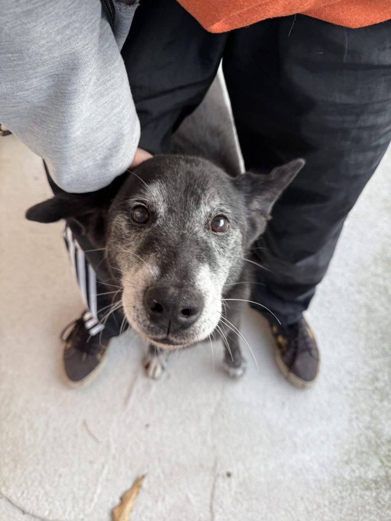 24a43615bbe72df974b2cf5d530742df