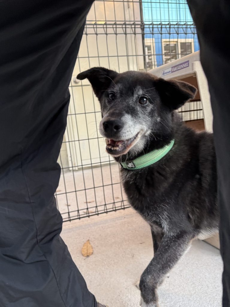 4e96ba4a726c1de582a2b46442be9e90