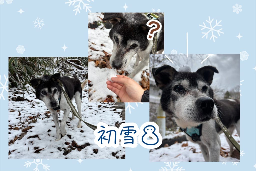 023bcf6fb0ba0b4c2e0fa27b41ee5867