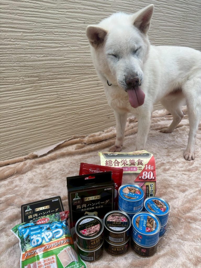 a979f8638c437a458d5a49abd9a6d310