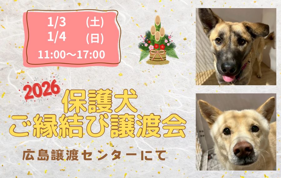 譲渡会・イベントのご案内 4 eyecatch 15