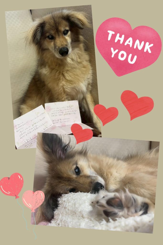 2925d71f8a59cfad164a4ab032b73cae