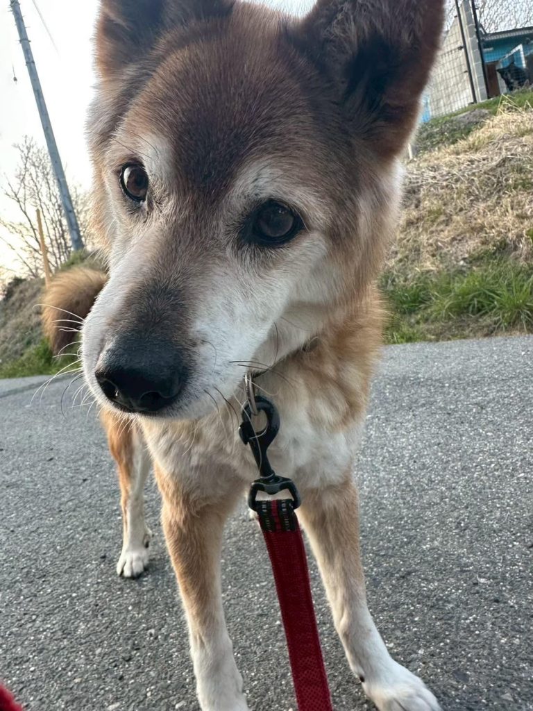 754f1bb8ec34be48eb46410963ba5fd6