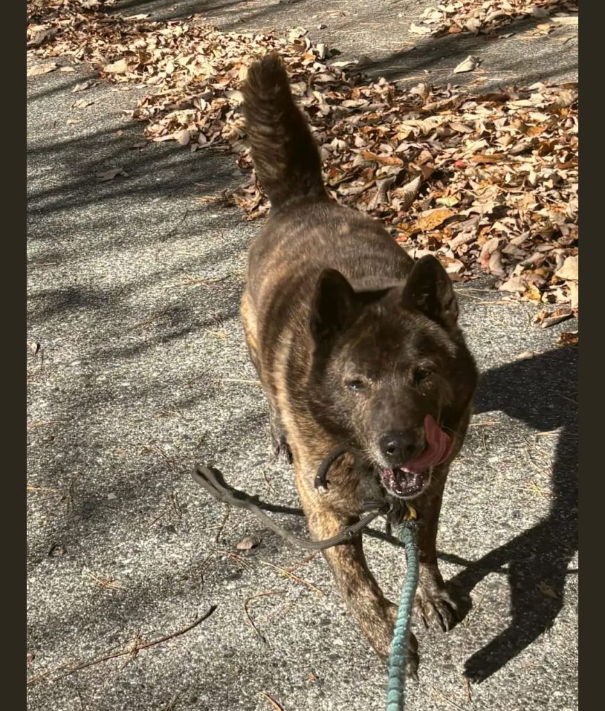 db03f93e29c5c6ba28a8f1c47790ac24