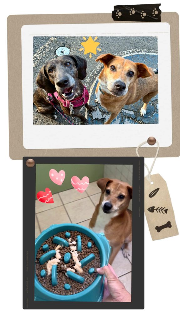 ab717db8443e90d5b8496087f2b89c4b