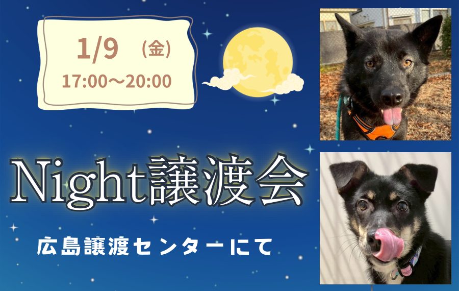 譲渡会・イベントのご案内 11 eyecatch 16