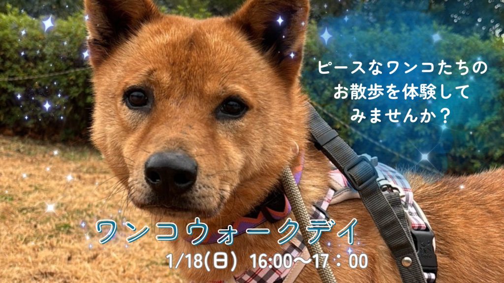 【ピースワンコのイベント】1/18(日) 「ワンコウォークデイ」(世田谷譲渡センター) 6 3e58d74fa4355bd18ccbddeb48fdb588