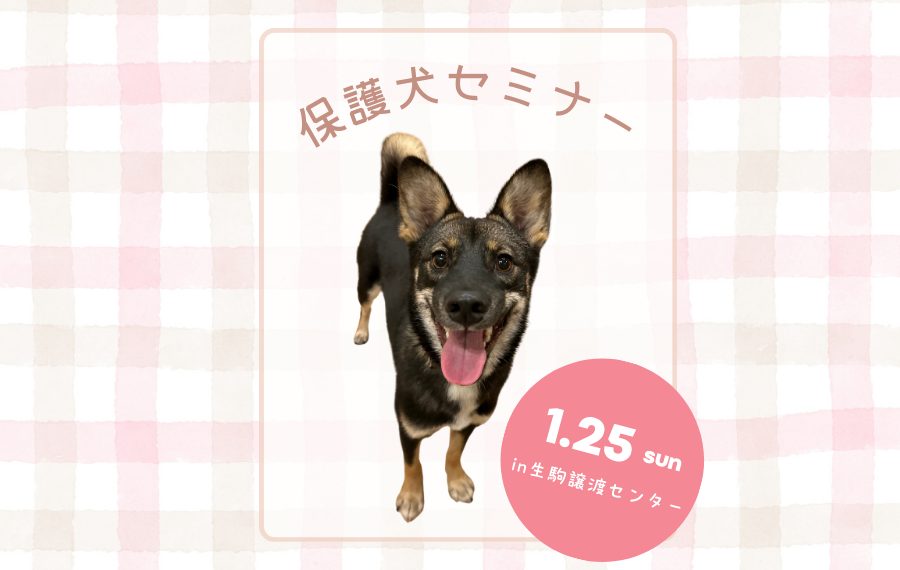 badfc7be2bc563cc8f20c96613cebaa9