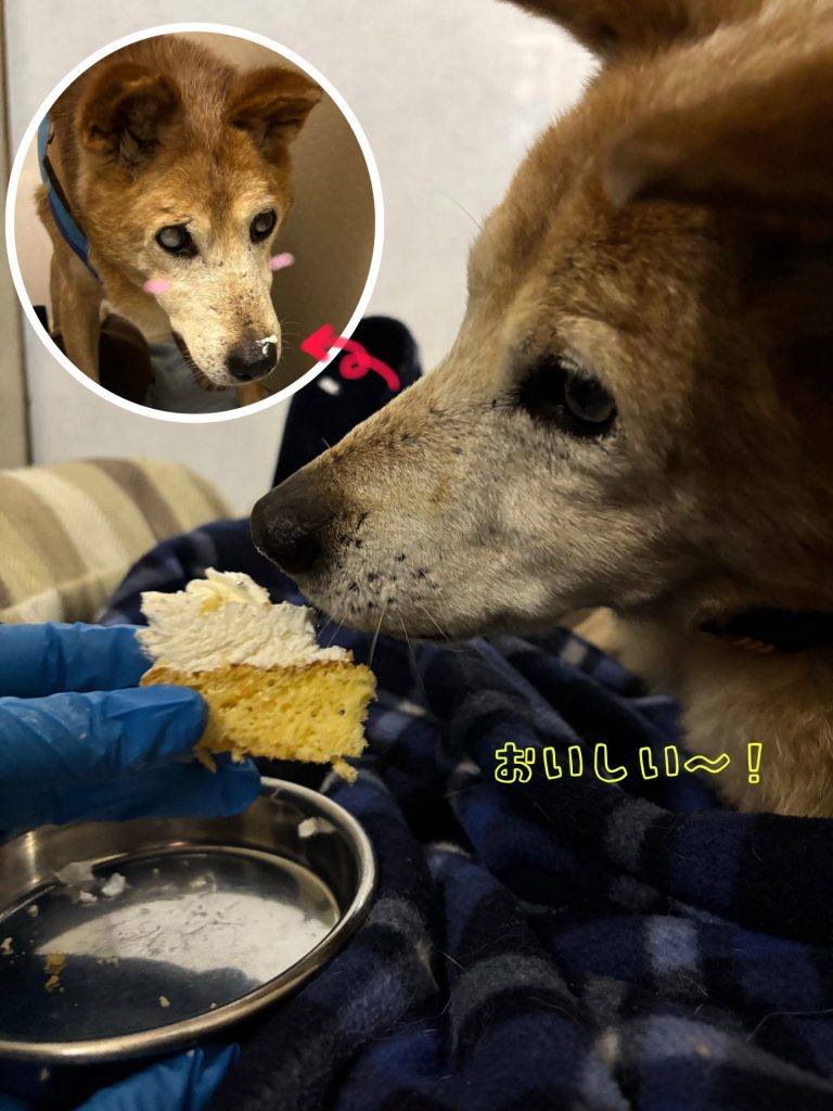 f7ce1812e47236e085be5921c7eb9429