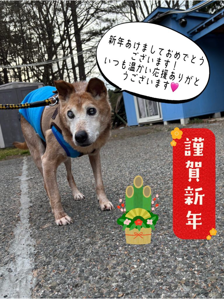 0996a2996911ada57658338813cb8c85