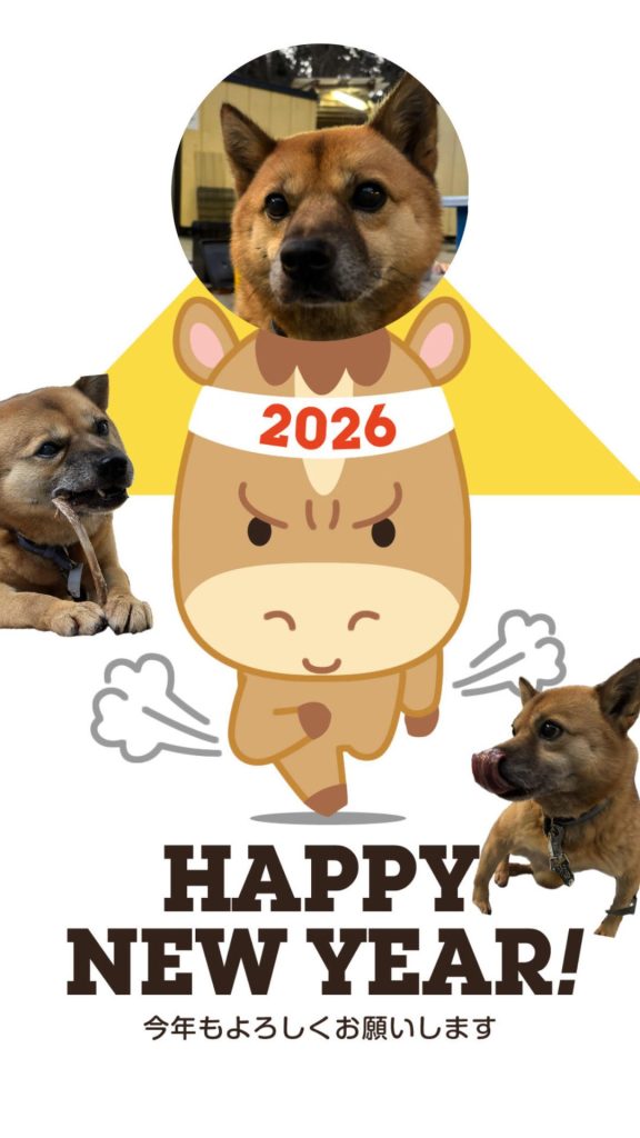 d6b66e1a77c4e729ceda1a6c11d2b1aa 1