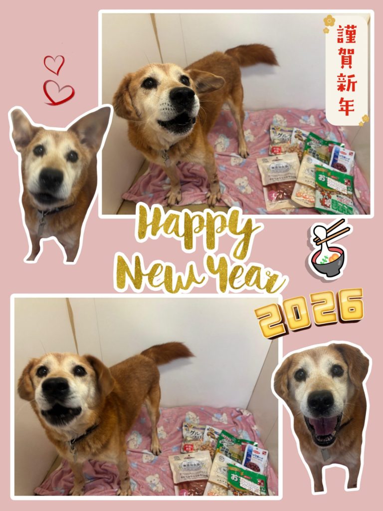 edde96033bd55c029825af2764783478 1