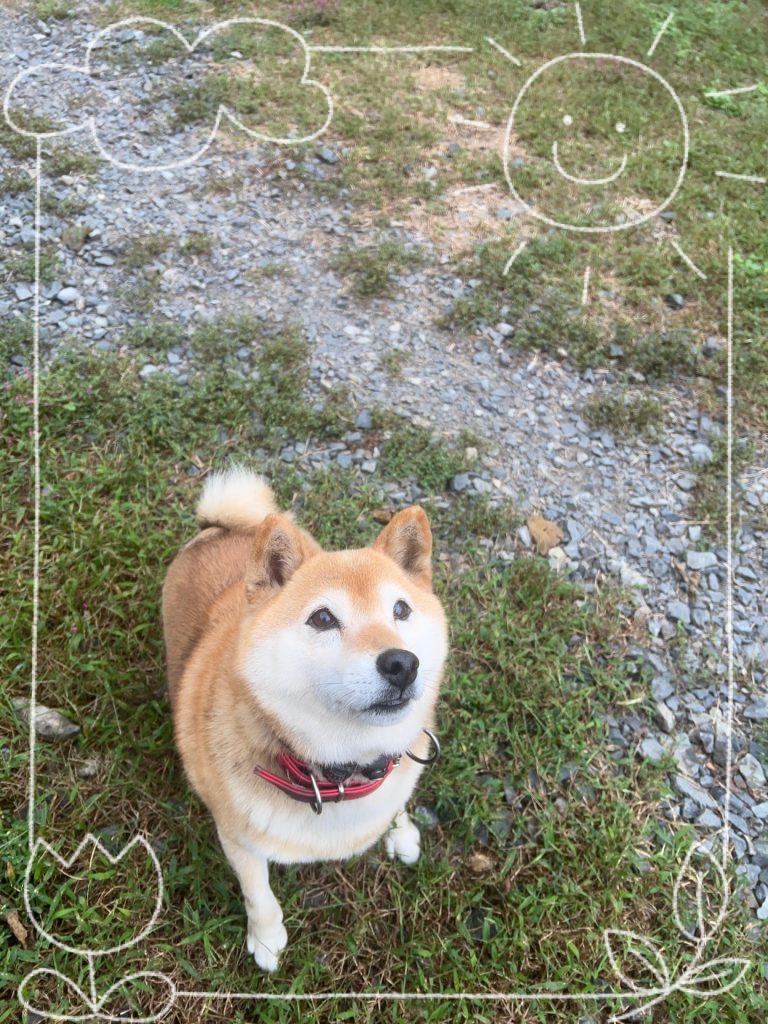 0bedfeb844825eb6c0782ef8de2b90c9