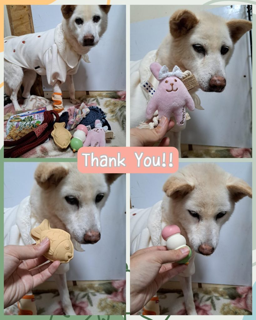 1d637be3a5a5908f9a549a08a8152ddd