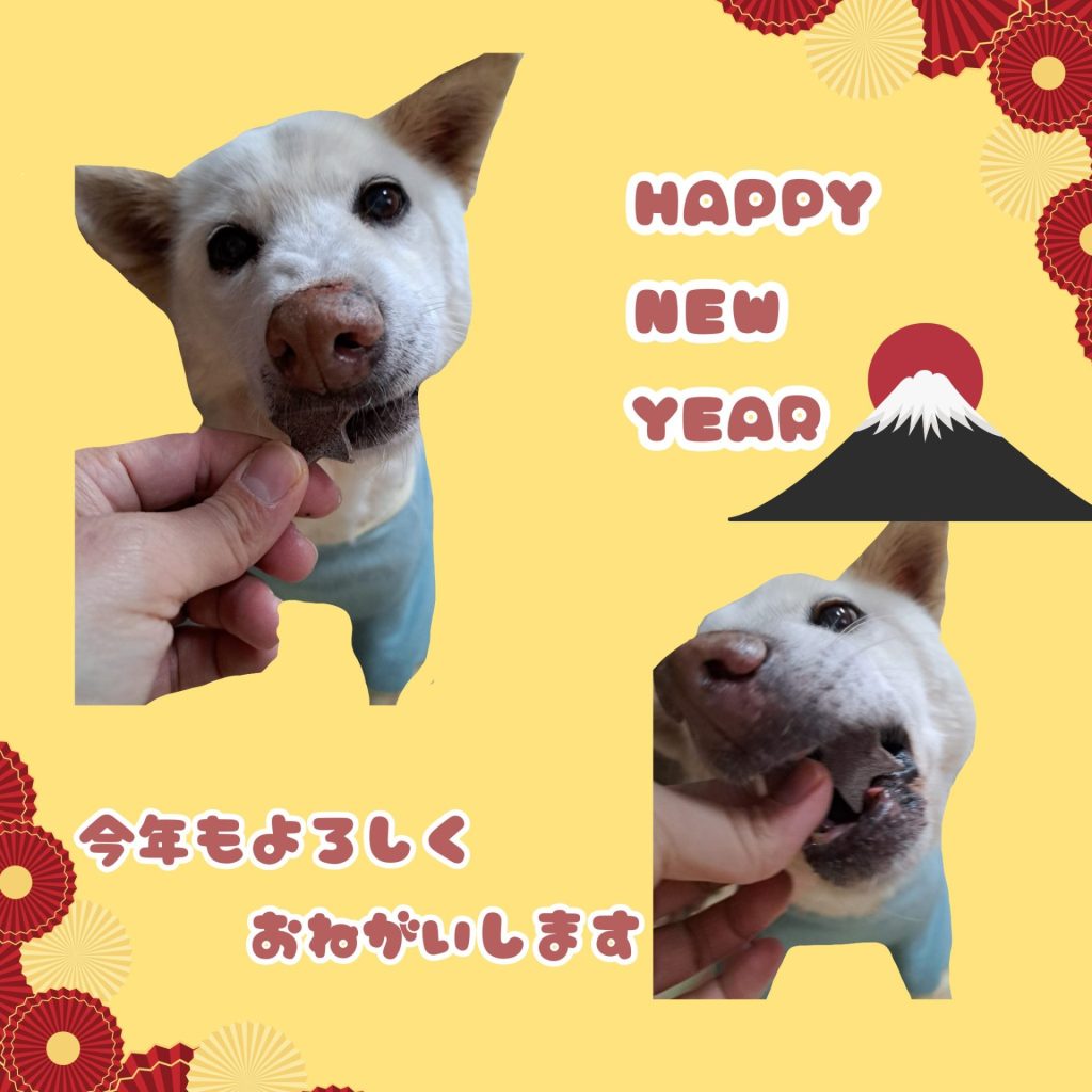 389bff4d0060396755e11de155621bf0