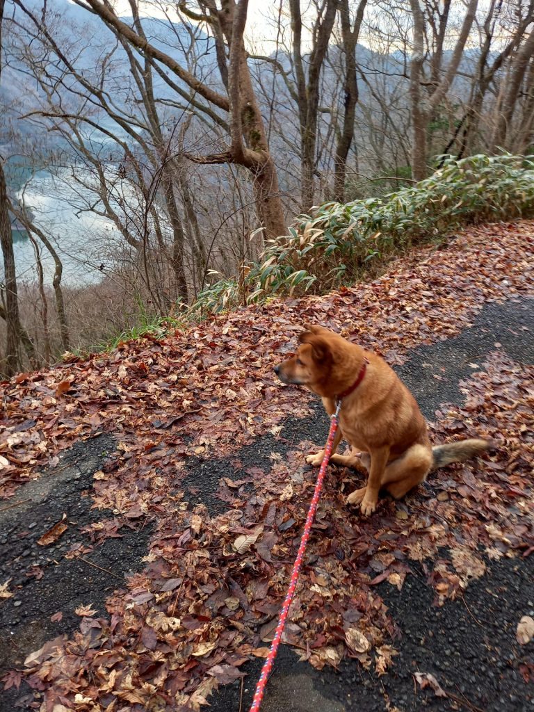 124f873228503a13ddf3c6daf8ef63d9