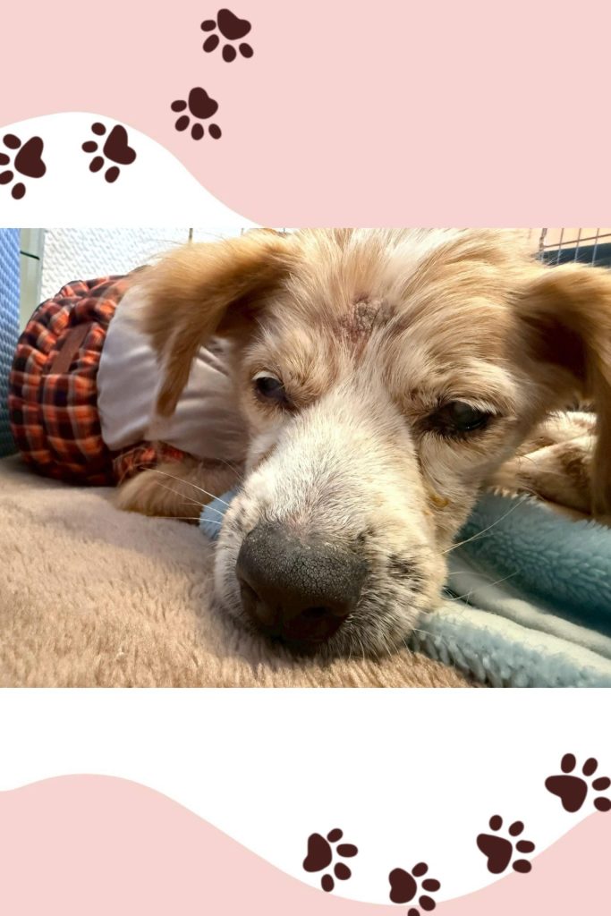 7e1fa0d030e3a542f0ed480184693742