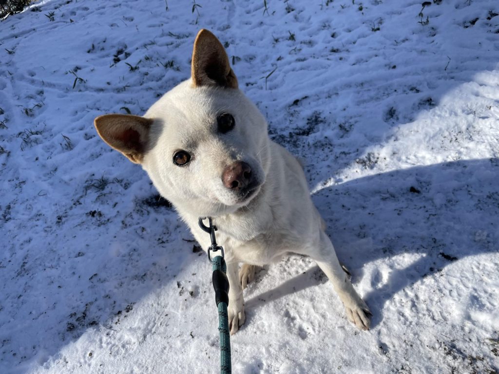 11e0d49cb66611434b40912fe283be90