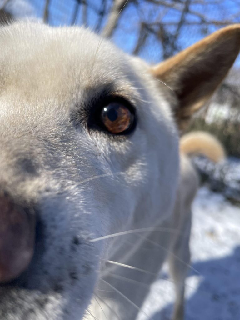 5a27a1f40c580a0956536a9fdb85236a