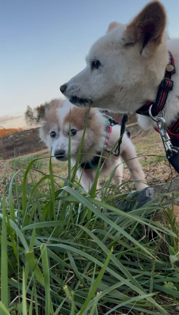 58061dedb339a7354cbbf5895f2cf6db