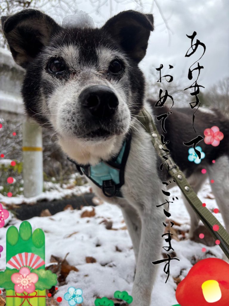 023bcf6fb0ba0b4c2e0fa27b41ee5867