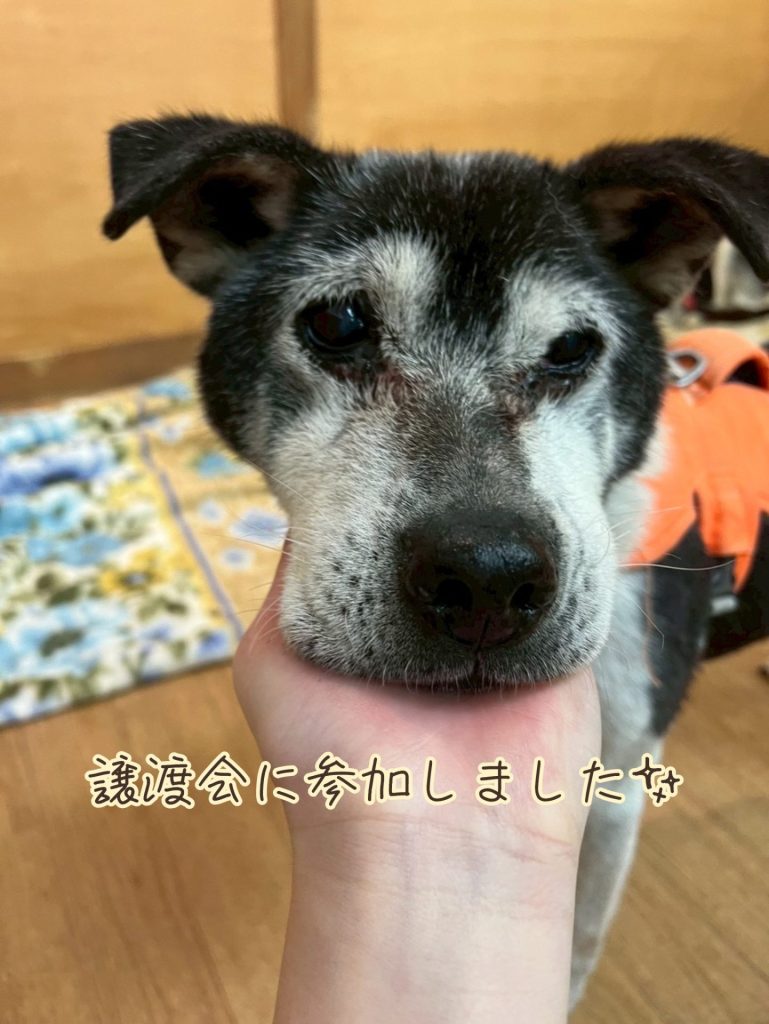 068a7c37f21f55f81b6599c2e2df99f6