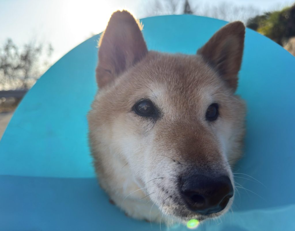 7a9648497277067c5f8d33439977eb23