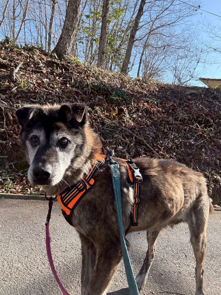 2fef43c73d5716359c2f03755f30fcf6