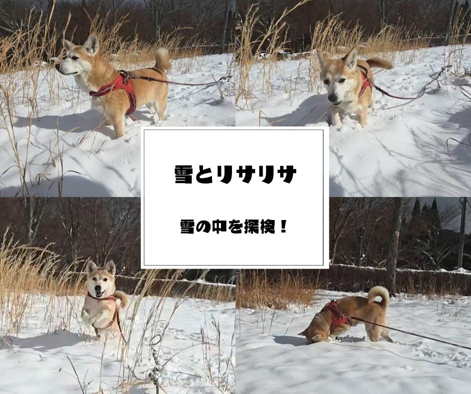 1026db253afca15fa1d4c4a072d7ccf4