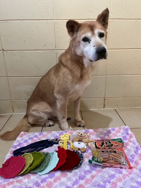 a6b8761486ad8a746eb3c3ae41a465e6