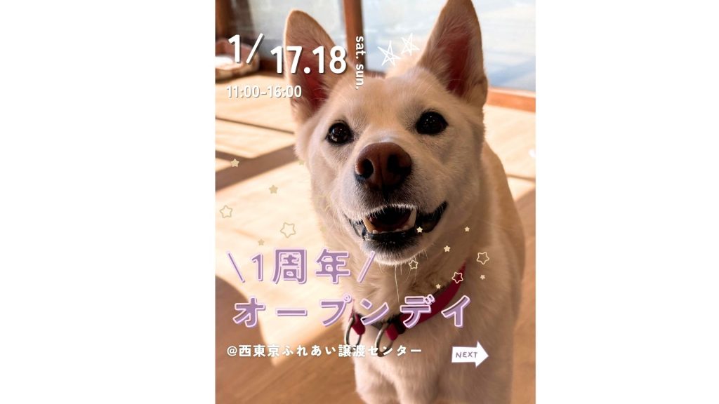 【ピースワンコのイベント】1/17(土)、18(日)「1周年オープンデイ」を開催(西東京ふれあい譲渡センター) 1 d3910ee3b00f075baecfdc876ef0f020