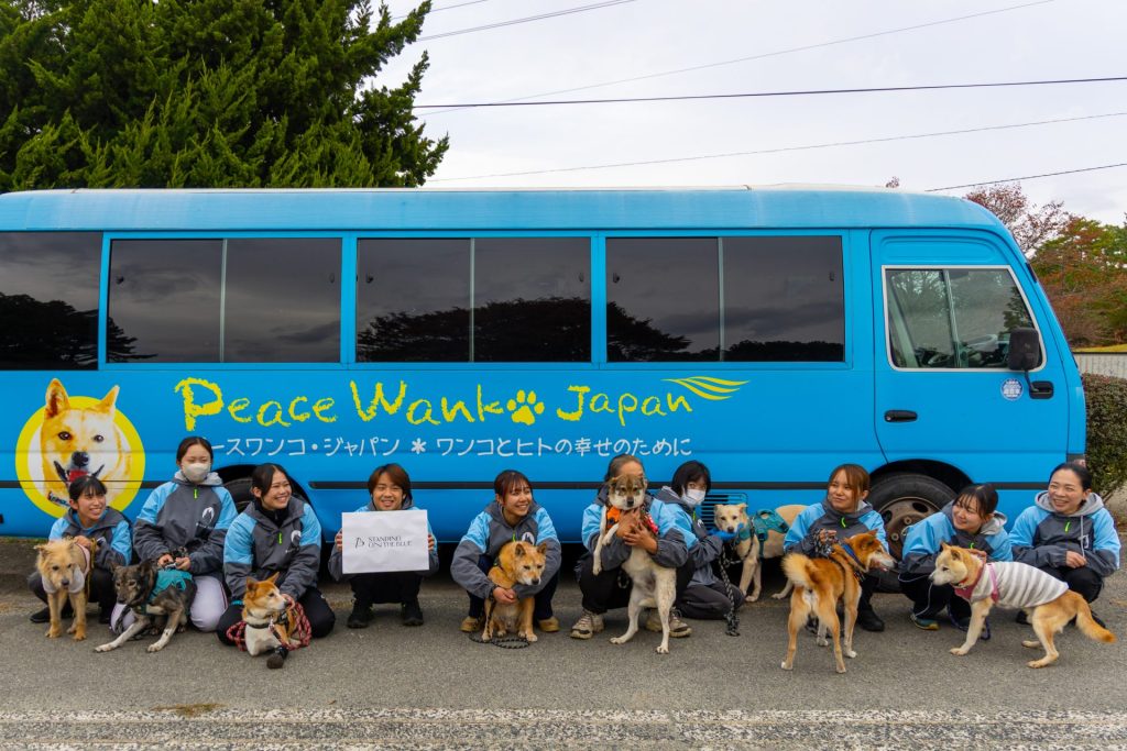 ピースワンコ・ジャパンのスタッフへ、ペットブランド「STANDING ON THE BLUE」がユニフォームを寄贈 5 1J5A1772 1