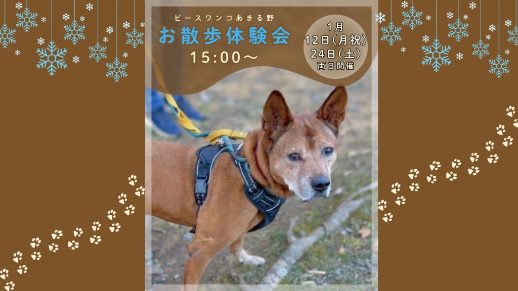 【ピースワンコのイベント】1/24(土)「お散歩体験会」を開催(あきる野譲渡センター) 3 5