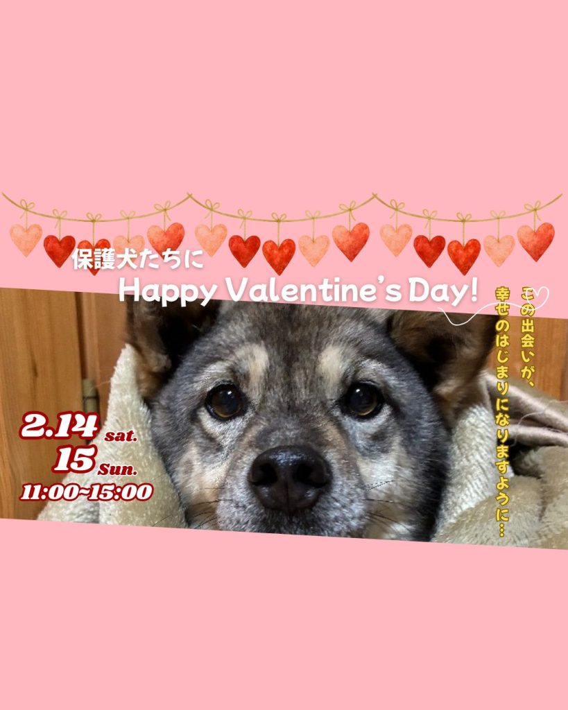 ピースワンコのイベント】6/28(土)「60歳以上向けお迎え説明会」（岡山