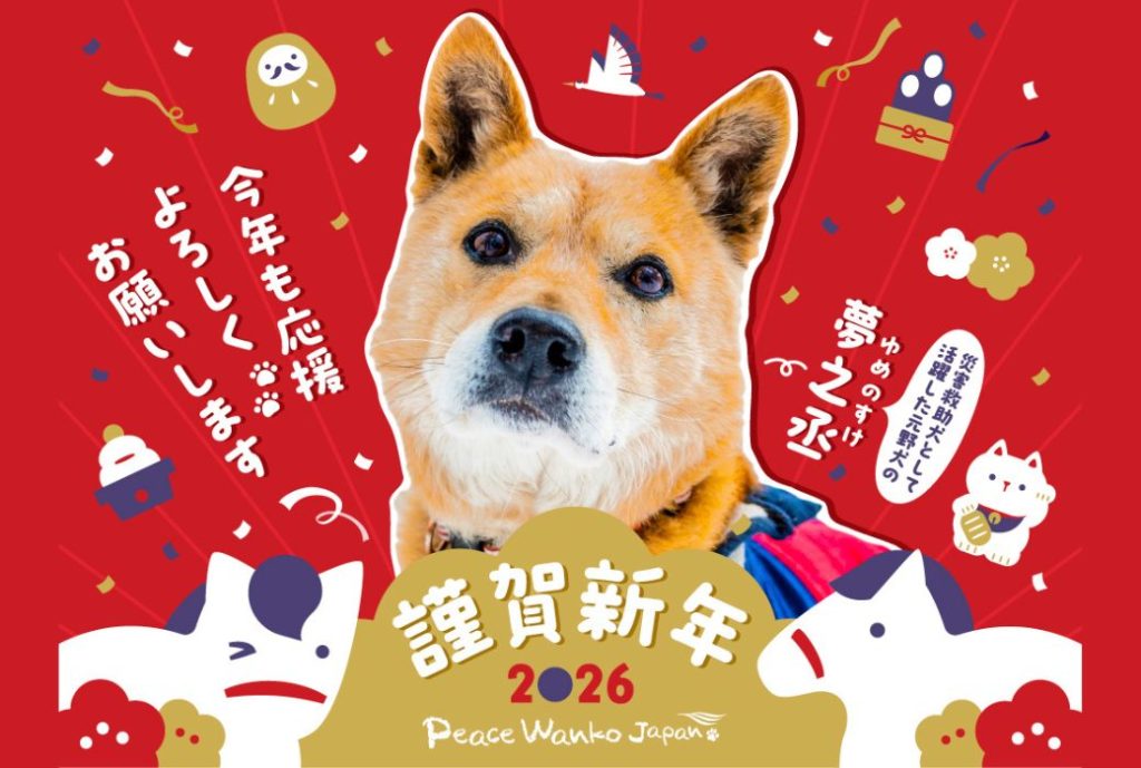 c2d34df85d952c96c293f9898da44605